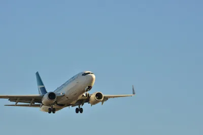 DSC_5656 (Large).JPG